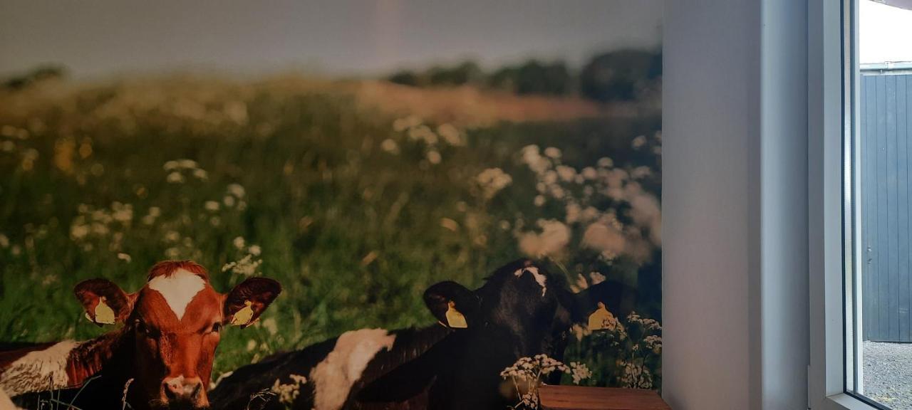 达默La Vache Au Lit别墅 外观 照片