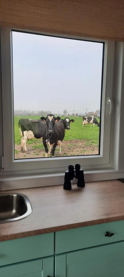 达默La Vache Au Lit别墅 外观 照片